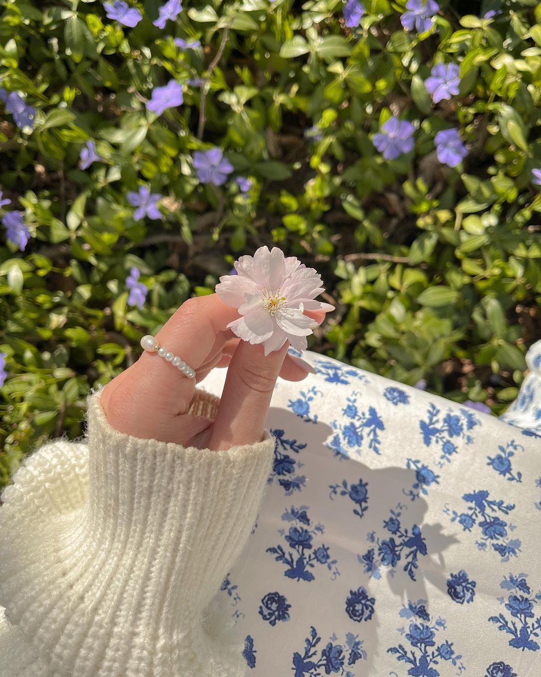 The Ultimate Spring Cleaning Guide for Easter: Refresh Your Home with DID.ie